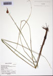 000103205-thumbnail.jpg