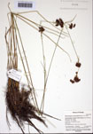 000103207-thumbnail.jpg