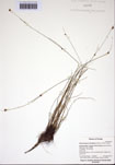 000103210-thumbnail.jpg