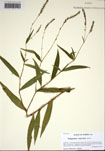 000103213-thumbnail.jpg