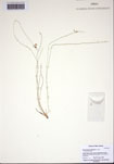 000103218-thumbnail.jpg
