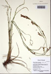 000103219-thumbnail.jpg