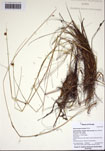 000103228-thumbnail.jpg