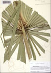000113193-thumbnail.jpg