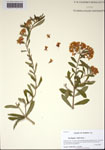 000113214-thumbnail.jpg