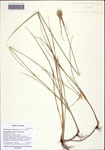 000121687-thumbnail.jpg