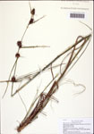 000121692-thumbnail.jpg