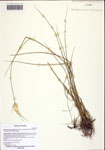 000122061-thumbnail.jpg