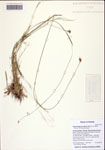 000122396-thumbnail.jpg