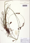 000122407-thumbnail.jpg