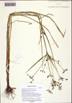 000122411-thumbnail.jpg