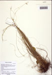 000122419-thumbnail.jpg