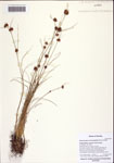 000122427-thumbnail.jpg