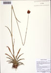 000122431-thumbnail.jpg