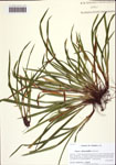 000122446-thumbnail.jpg