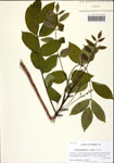 000122468-thumbnail.jpg