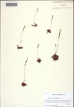 000122475-thumbnail.jpg