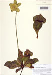 000122477-thumbnail.jpg