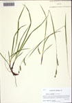 000122492-thumbnail.jpg