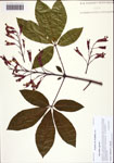 000122503-thumbnail.jpg
