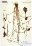000122535-thumbnail.jpg