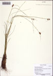 000122537-thumbnail.jpg