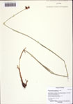 000122538-thumbnail.jpg