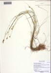 000122541-thumbnail.jpg