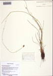 000122543-thumbnail.jpg