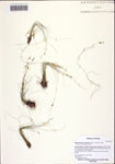 000122544-thumbnail.jpg