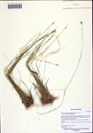 000122545-thumbnail.jpg