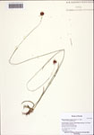 000122546-thumbnail.jpg