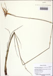 000122548-thumbnail.jpg