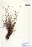 000122549-thumbnail.jpg