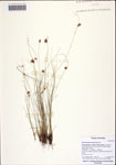 000122550-thumbnail.jpg