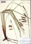 000122555-thumbnail.jpg