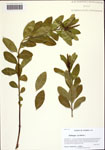 000122572-thumbnail.jpg