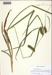000122587-thumbnail.jpg