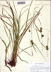 000122589-thumbnail.jpg
