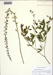 000122663-thumbnail.jpg