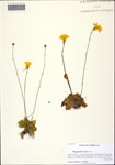 000122747-thumbnail.jpg