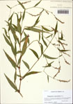 000122765-thumbnail.jpg