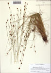 000122768-thumbnail.jpg