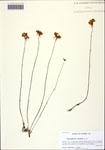 000122776-thumbnail.jpg
