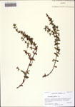 000125504-thumbnail.jpg