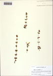000125547-thumbnail.jpg