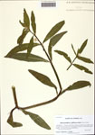 000128165-thumbnail.jpg