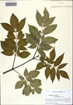 000128169-thumbnail.jpg
