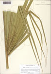 000128174-thumbnail.jpg