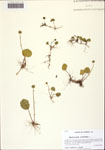 000128177-thumbnail.jpg